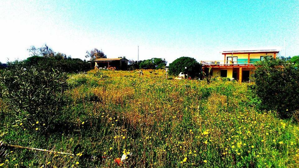 Eco Affittacamere Casa Maica Eco Guesthouse Stintino Luaran gambar